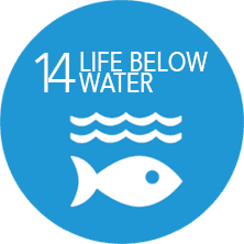 SDGs 14 Logo
